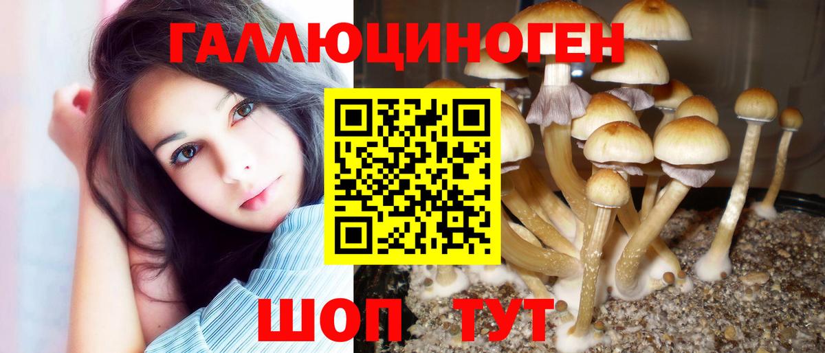 Псилоцибиновые грибы прущие грибы Рязань